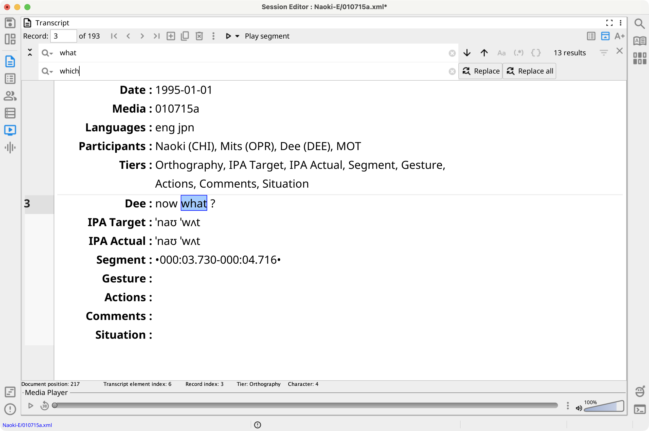Find and Replace View